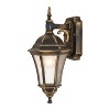 VAXCEL Newark Weathered Bronze Motion Sensor Dusk to Dawn Traditional Outdoor Wall Light with Clear Glass - 2 of 4