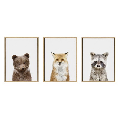 Natural Framed Bear, Fox, and Raccoon Canvas Art Set
