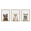 Kate and Laurel Sylvie Studio Bear, Studio Fox and Studio Raccoon Framed Canvas by Amy Peterson Art Studio, 3 Piece 18x24, Natural - 2 of 4