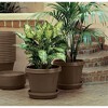 Bloem Terra Round Plastic Saucer Tray for Planters - 4 of 4