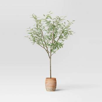 72" Olive Artificial Tree with Cement Pot - Threshold™ designed with Studio McGee