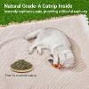 Potaroma Chirping Bird Cat Toys Pack of 2 Catnip SilverVine - 3 of 3