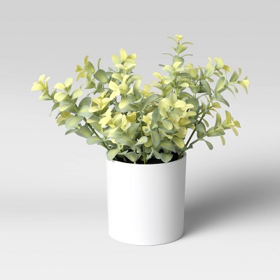 9" x 6" Artificial Boxwood Arrangement - Threshold™