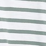 grey spruce white stripe