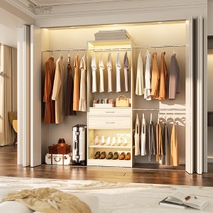 Aheaplus Closet System with 2 Wooden Drawers and Adjustable Shoes Rack - 1 of 4