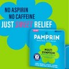 Pamprin Multi-Symptom Menstrual Pain Reliever Acetaminophen Caplets - 40ct - 3 of 4