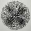 31.5"x31.5" Carlos Shadow Box Wall Decor Black/White - A&B Home: Transitional Style, Mixed Media Art, MDF & Glass Frame - 4 of 4