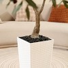 Kazeila UV Resistant Fake Olive Tree with White Tall Planter, Big Artificial Olive trees with three branches for Indoor Outdoor Office House Decor - image 4 of 4