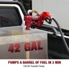 Mojgar Fuel Transfer Pump with Automatic Nozzle, 20 GPM High Flow 12 Volt DC pump - 2 of 4