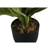 Artificial Plant, 17" Tall, Dracaena, Indoor, Faux, Fake, Table, Greenery, Potted, Real Touch, Decorative, Green Leaves, Black Pot - 3 of 4