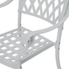 CLIHOME Outdoor Patio Woven Diagonal Grid Cast Aluminum Dining Chair(Set of 2) - 4 of 4