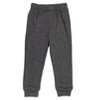 Paw Patrol Rocky Zuma Rubble Marshall Chase Fleece Sweatshirt and Pants Set Toddler - 3 of 4
