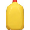 Purity Vitamin D Whole Milk - 1gal - 2 of 4