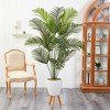 Nearly Natural 6.5-ft Golden Cane Artificial Palm Tree in White Planter with Stand - 3 of 4