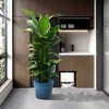 KTMBDW Ceramic Plant Pots, Planter Pot with Drainage Hole, Flower Pots for Indoor Outdoor Plants, Set of 3 - 2 of 4