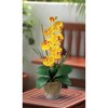 HomeStock Phalaenopsis Silk Orchid Flower Arrangement - 3 of 3
