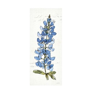 Trademark Fine Art -Anne Tavoletti 'Texas Bluebonnet Iii' Canvas Art - 1 of 4