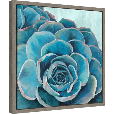 Amanti Art Grasping II (Succulent) by Eva Watts Canvas Wall Art Print Framed 16 x 16-in.
