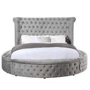 109" Queen Bed Gaiva Bed Gray Velvet - Acme Furniture: Elegant Nailhead, Button-Tufted Design, Wood Composite Frame - 1 of 4