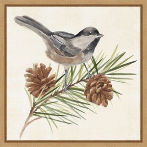 Amanti Art Bird on Pine Branch I by Annie Warren Canvas Wall Art Print Framed 16 x 16-in. - 1 of 4
