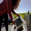 (re)zip 2 Gallon and 2 Half-Gallon Bags - 4ct - 3 of 4