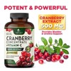 Cranberry Extract Capsules Vitamin C (25000mg Formula) - Natural Urinary Support - 120 Count - 4 of 4