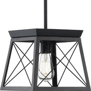 Progress Lighting Briarwood 1-Light Mini-Pendant, Steel, Textured Black, Faux-Painted Wood Enclosure - 1 of 4