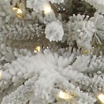 warm white