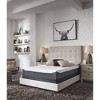 Signature Design by Ashley 10 Inch Chime Elite Firm Memory Foam Mattress - image 3 of 4