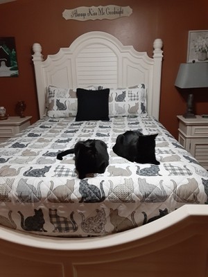 Guest review image 1 of 1, zoom in