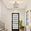 Rennnsan Fyrellen 11"W 8-Light Square Dandelion Crystal Industrial Dimmable Chandelier in Black - 4 of 4