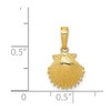 Black Bow Jewelry 14k Yellow Gold Small Textured Scallop Shell Pendant - 4 of 4