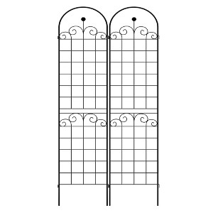 Lirago 2 Pack Metal Garden Trellis Rustproof Climbing Plant Support for Outdoor Flowers Vines Vegetables Black Powder Coated 86.7"H x 19.7"W x 1"D - 1 of 4