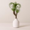 Air Plant Succulent Pick (Set of 6) - 2 of 3
