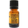 Plantlife Turmeric Essential Oil – 100% Pure & Therapeutic Grade – Natural, Undiluted & Steam-Distilled – No Additives or Fillers – 10ml Aromatherapy - 2 of 4