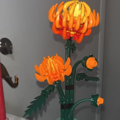 Guest review image 1 of 1, zoom in