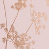 Anthriscus Blush Pink Floral Paste the Wall Wallpaper - 4 of 4