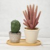 Unique Bargains Oval Bamboo Wood Saucer Plant Tray Saucer - 4 of 4