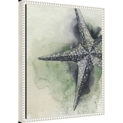 Amanti Art Found Starfish II by Grace Popp Canvas Wall Art Print Framed 16 x 20
