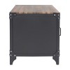 Amargosa Storage Metal Side Table Black/Dark Walnut - HOMES: Inside + Out: Industrial Loft-Inspired, Rivet Detail, Display Cabinet - 4 of 4