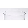 Chery Life Acrylic Glasses Drinking Set of 4, Plastic Drinking Glasses, Cocktail Glasses, Drinkware Set - 2 of 4