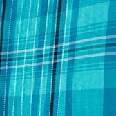 aquamarine plaid