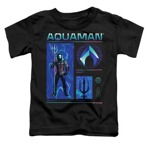 Toddler Boys' Aquaman And The Lost Kingdom Aquaman Stats T Shirt - 1 of 2