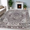 Modern Floral Medallion Border Washable Indoor Area Rug by Blue Nile Mills - 2 of 4