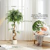 Tall Ficus Tree Artificial, Faux Ficus Tree with Curved Trunk, Fake Trees Indoor Outdoor for Home Office Living Room with White Pot - 2 of 4