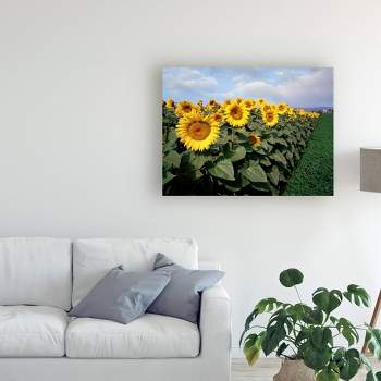 18" x 24" Sunflowers Sentinels Rome Italy Color by Monte Nagler - Trademark Fine Art