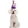 Unique Bargains Halloween Pet Headwear 4.33"x4.33" Purple 1 Pc - 2 of 4