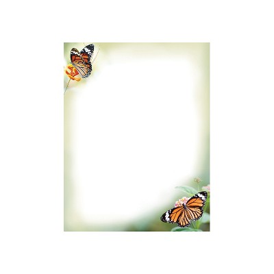 Great Papers Monarch Butterflies Letterhead Multicolor 50/Pack (2023065)