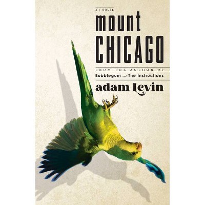 Mount Chicago - by  Adam Levin (Hardcover)