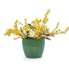 SEVOBAL Planters 3-Piece Modern Ceramic Glossy Flower Pots, Frost-Resistant with Drainage Holes for Indoor, Outdoor, Green, 19.7"*19.7"*17.8" - 2 of 4